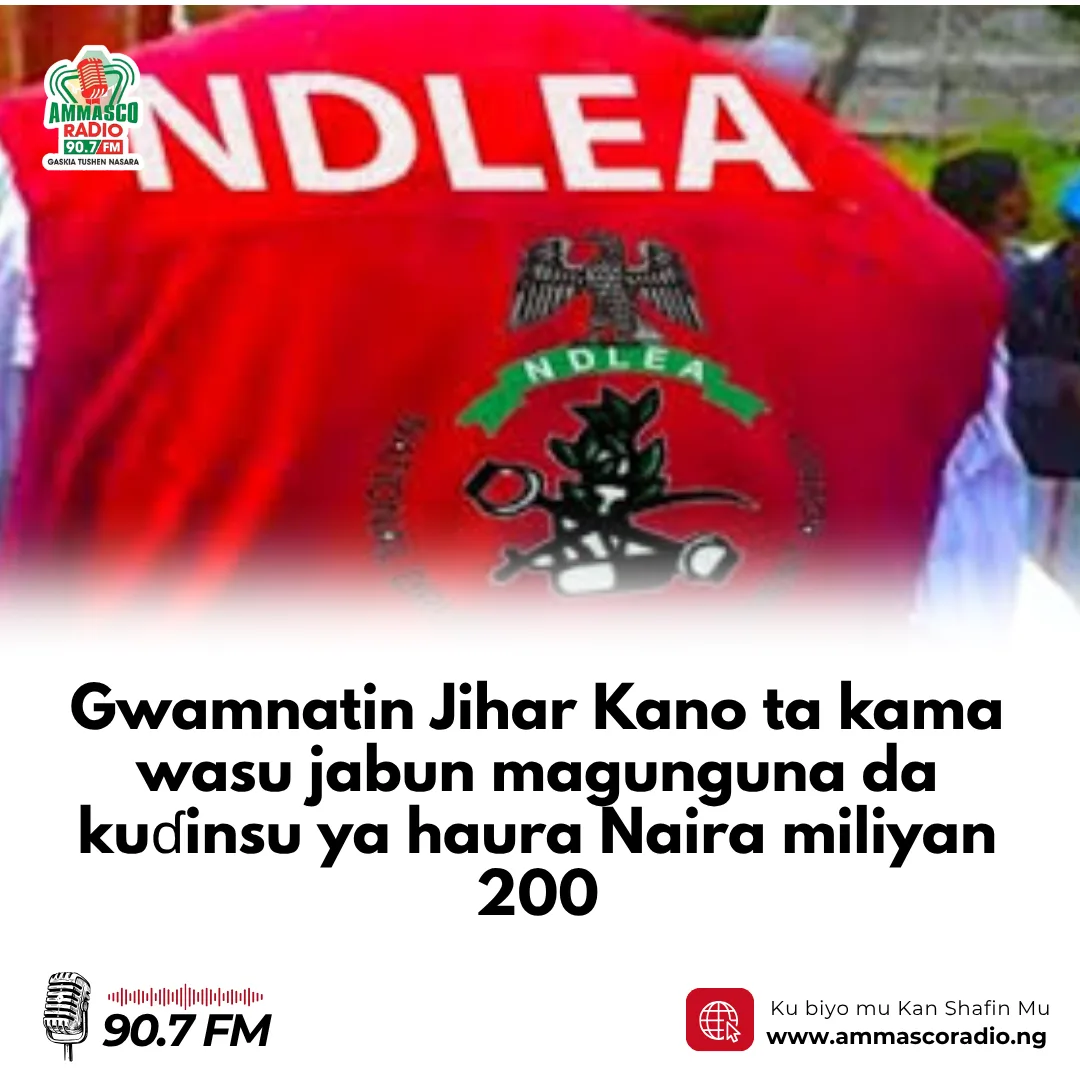 Gwamnatin Jihar Kano ta kama wasu jabun magunguna da kuɗinsu ya haura Naira miliyan 200.