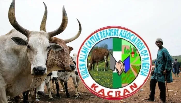 KACRAN Ta Yi Allah Wadai da Hare-Haren 'Yan Bindiga a Zamfara, Sokoto da Katsina