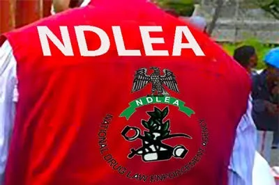 NDLEA ta kama wata taohuwa yar Shekara 67 dake zaune a birtaniya  dauke da kilo 13 na Hodar ibilis a Legas