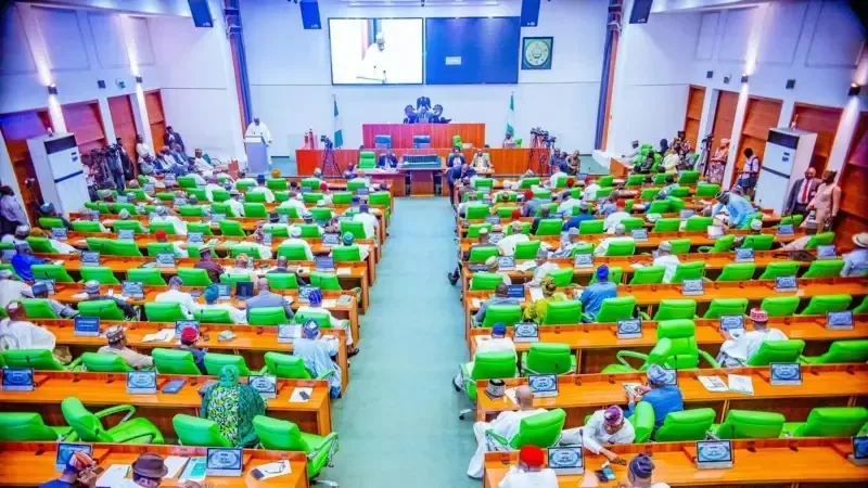 Majalisar Najeriya ta dakatar da ziyarce-ziyarcen aiki zuwa Afirka ta Kudu